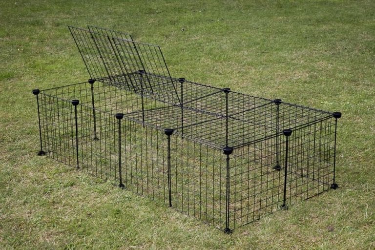 C&C Outdoor Pet Runs for Guinea Pigs C and C Guinea Pig Cages