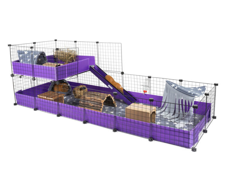 2x6 C&C Mesh Grid Guinea Pig Cage C and C Guinea Pig Cages