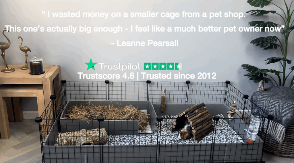 Spacious C&C guinea pig cage with fleece liner and hay tray, featuring a customer testimonial and Trustpilot rating.