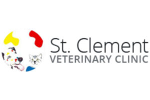 Logo Clement