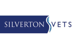 Logo Silverton