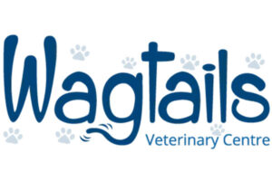 Logo Wagtails