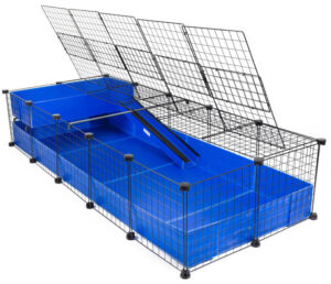 blue cage with the lid