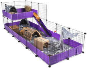 C&C Modular Guinea Pig Cages