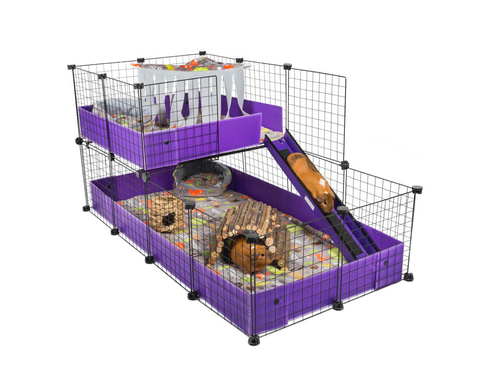 Two-level C&C guinea pig cage with purple correx, ramp, fleece bedding, and wooden hideouts.
