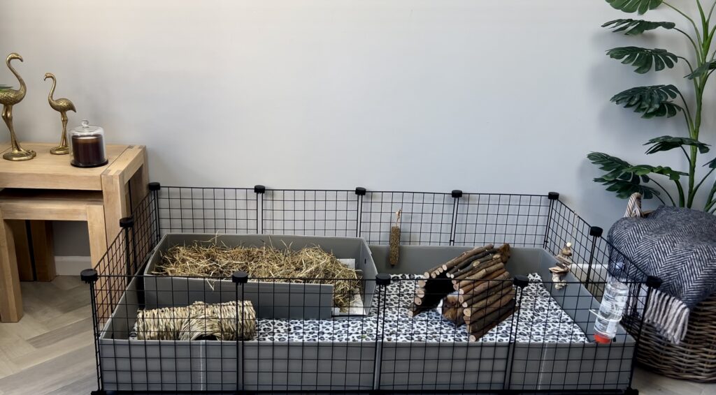 Spacious indoor C&C guinea pig cage setup with correx base, hay tray, and fleece liners