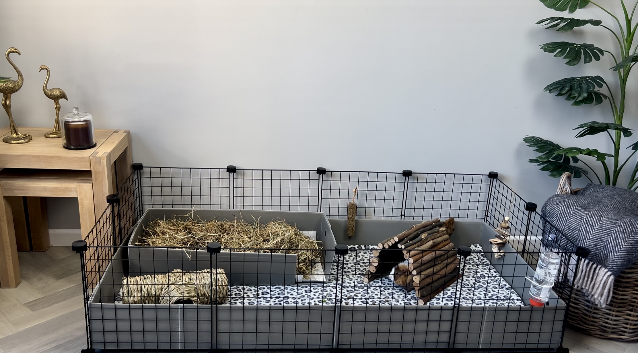 Spacious indoor C&C guinea pig cage setup with correx base, hay tray, and fleece liners